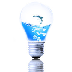 Water Dolphin in the light bulb, Save the water concept 