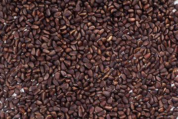 scattering of pine nuts