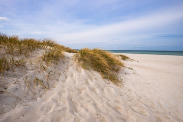 Fototapeta na wymiar Dünen und Strand an der Ostsee