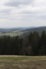 Fototapeta na wymiar Beautiful Wilderness from the spring Mountains Sumava in southern Czech