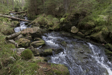 Beautiful Wilderness from the spring Mountains Sumava in southern Czech