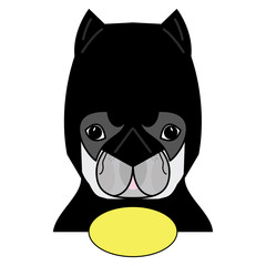 Super hero symbol  as  a French bulldog  character in black, yellow and gray 