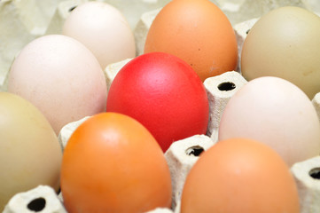 Traditional red Easter egg between different eggs. Which egg is the best for painting
