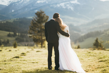 Happy wedding couple are walking in the mountains - obrazy, fototapety, plakaty