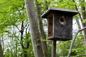Wooden birdhouse hanging on a tree background