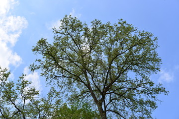 Naturpark in Deutschland