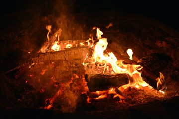 Bearing fire