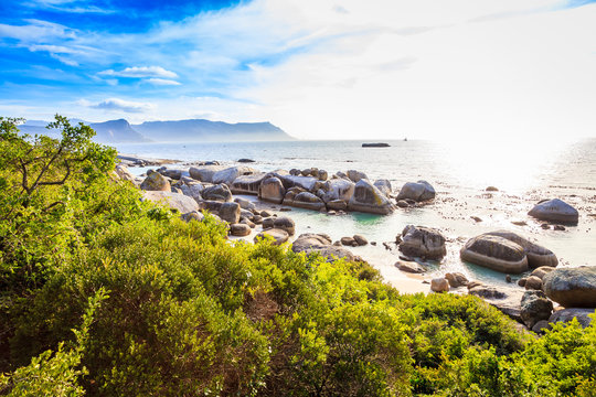 A view of Boulders beach in Simonstown, South Africa.