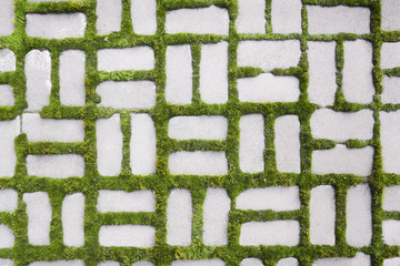 pattern with a sprouted grass III