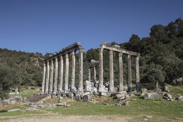 Fototapeta premium Temple of Zeus Lepsinos Euromus Turkey
