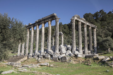 Fototapeta premium Temple of Zeus Lepsinos Euromus Turkey