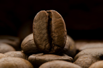 Obraz premium ziarno kawy