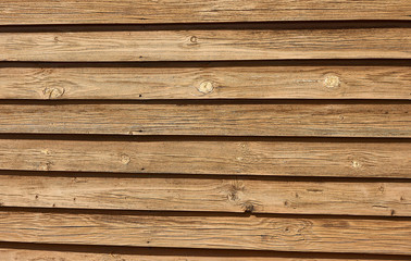 Obraz premium Wooden wall of brown color, old tree