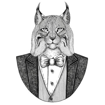 Wild cat Lynx Bobcat Trot Hipster animal Hand drawn illustration for tattoo, emblem, badge, logo, patch, t-shirt