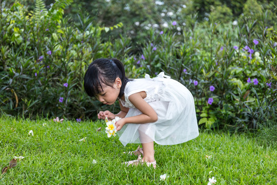 Asian Chinese little girl picking up flowers in outdoor garden