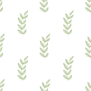 Green herbs seamless pattern. Scandinavian background. Wallpaper design.