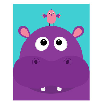 Hippopotamus head facelooking up to bird. Cute cartoon character hippo with tooth. Violet behemoth river-horse icon. Baby animal collection. Education card for kids. Flat design. Blue background.