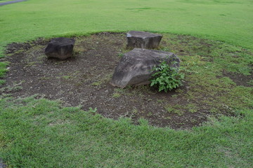 公園の石のベンチと芝生