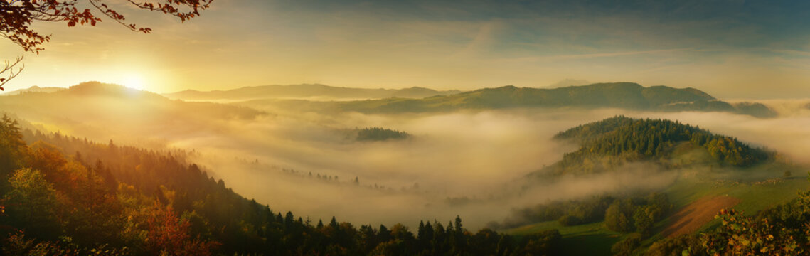 Fototapeta Panoramic landscape of sunrise fog in Pieniny mountain