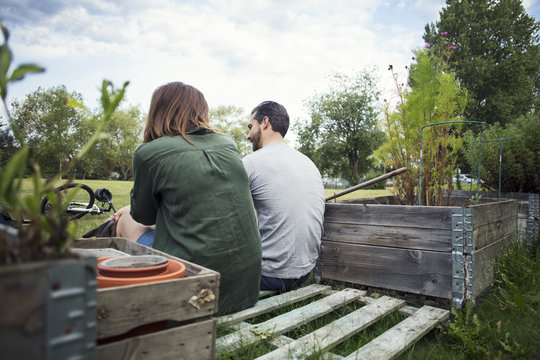 Rear view of mid adult couple sitting in vegetable garden
