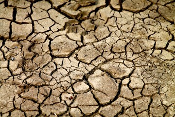 Dry cracked brown earth.  Dried mud on a beach.