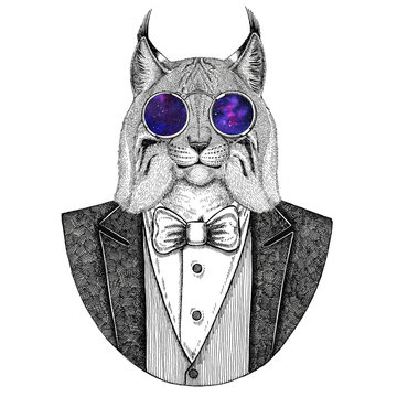 Wild cat Lynx Bobcat Trot Hipster animal Hand drawn illustration for tattoo, emblem, badge, logo, patch, t-shirt