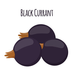 Fresh berries, black currant. Vegetarian food. Flat style.