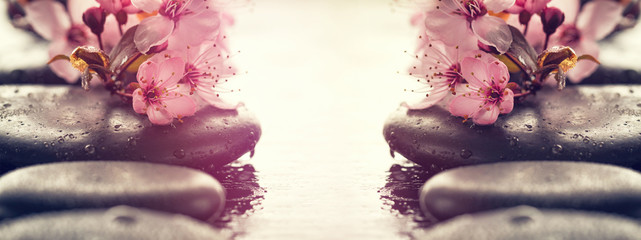 Beautiful pink Spa Flowers on Spa Hot Stones on Water Wet Background. Side Composition. Copy Space. Spa Concept. Bright Background.