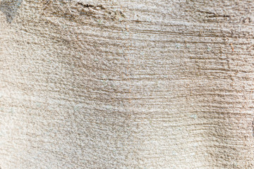 Old wood texture background