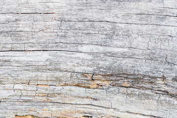 Old wood texture background