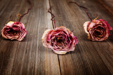 Dried flowers roses on a wooden background