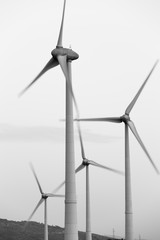 Eco power, wind turbines