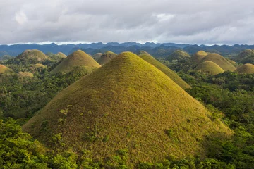 Sierkussen The Chocolate Hills-uitzicht, Bohol Island, Filippijnen © Glebstock