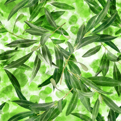 Seamless pattern with olive tree branches on green