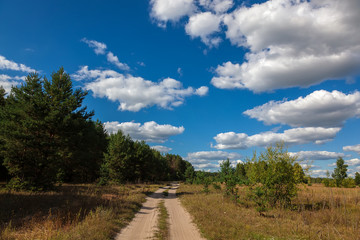 Fototapeta na wymiar Road, trees, meadow against a blue sky with white clouds