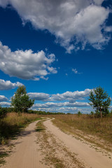 Road, trees, meadow against a blue sky with white clouds