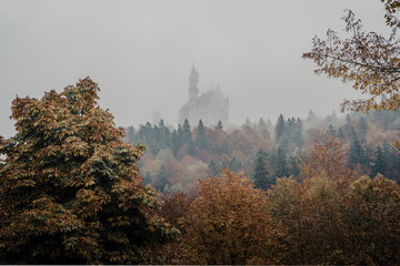 Fussen, Bavaria, Germany. Autumn view of Neuschwanstein Castle surrounded by yellow trees and fog
