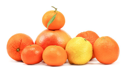 Citrus fruits isolated on a white background