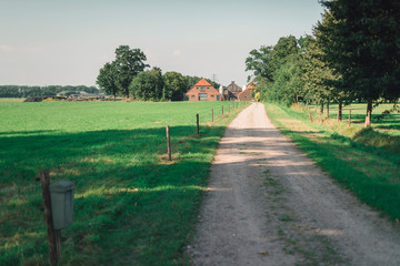 Fototapeta na wymiar Driveway to old farmhouse in rural landscape in summer.