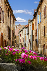 Dorf in Europa mit Blumen
