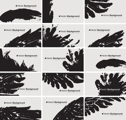 vector set of black and white business cards with a bird feather