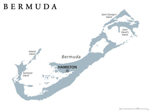 Bermuda political map with capital Hamilton. British Overseas Territory in the North Atlantic Ocean. Member of the Caribbean Community. Gray illustration on white background. English labeling. Vector.
