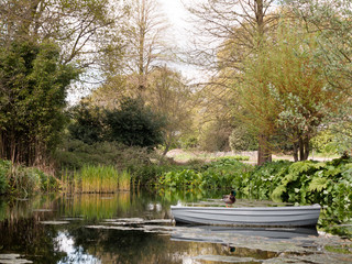 Fototapeta na wymiar A Beautiful Garden With Trees and Plants and Lake in the Spring in the Uk