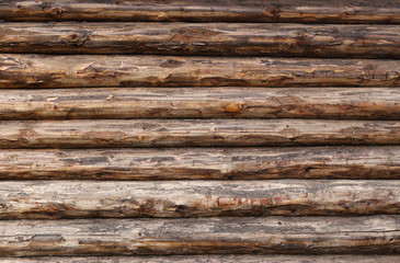 Boards and logs close-up. Different types of wood. For the background and your projects.