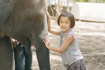 Fototapeta premium Cute asian little girl playing with Thai elephants