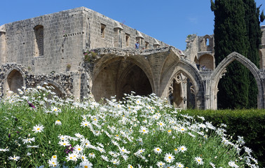 Obraz premium Bellapais Abbey, Northern Cyprus