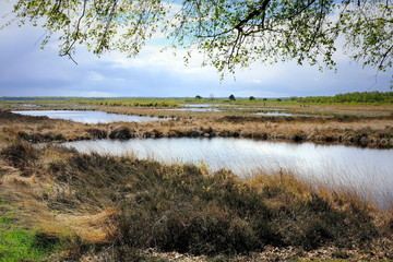 Moorlandschaft bei Goldenstedt