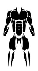 Muscles - abstract black figure or icon of the largest human muscles - isolated vector illustration on white background.