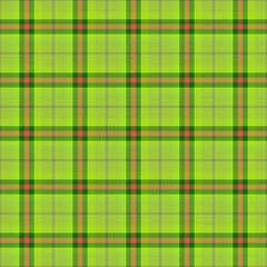 Green checkered handkerchief