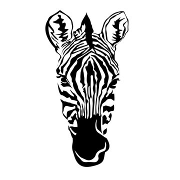 Illustration - black and white linear paint draw zebra illustration